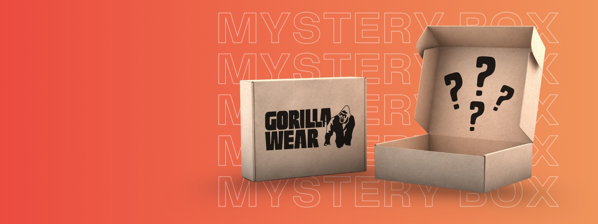 Mystery Box