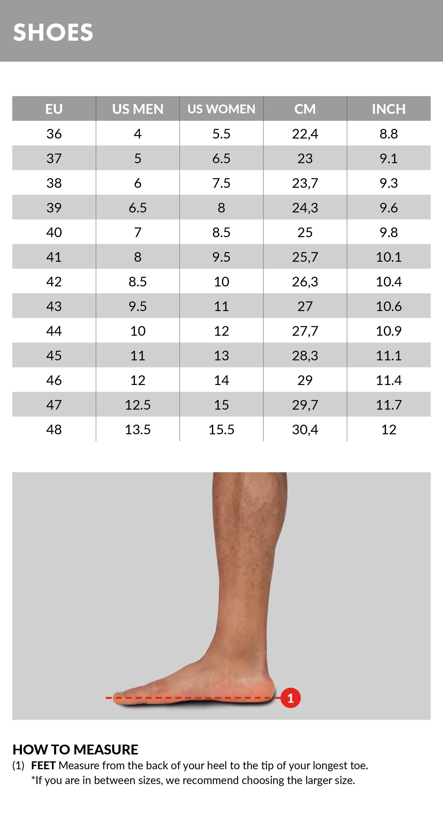 Size Guide and Size Chart