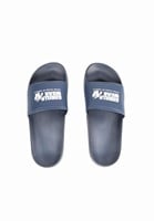 Pasco Slides Navy