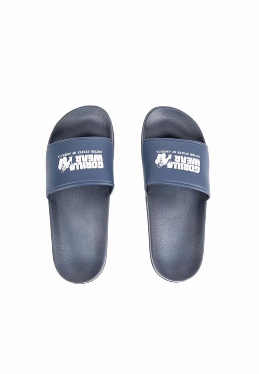 Pasco Slides Navy