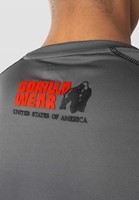 Performance T-Shirt Gray