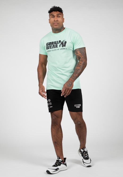 Classic T-Shirt Mint