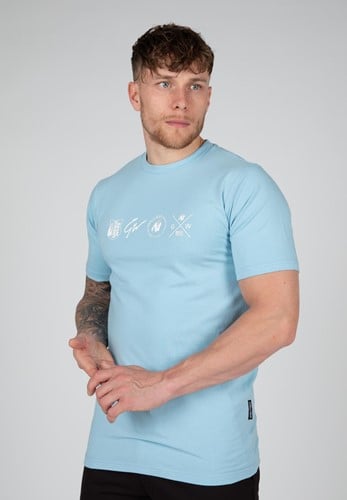 Swanton T-Shirt - Blau