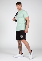 Swanton T-Shirt Green