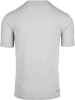 Leon T-Shirt Gray