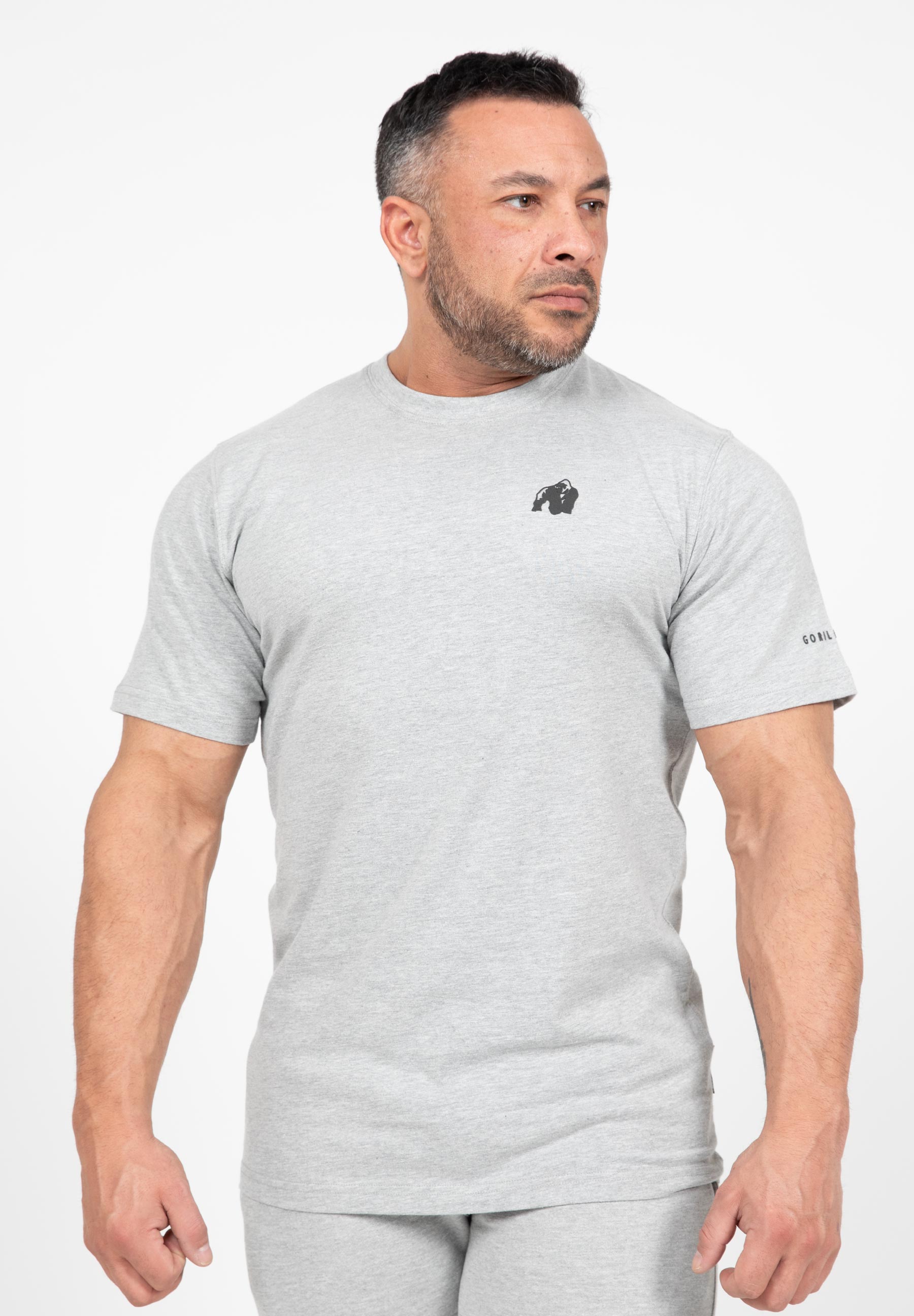 Leon T-Shirt - Gray - 4XL 9851
