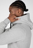 Palmer Hoodie Gray
