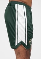 Orlando Shorts Green