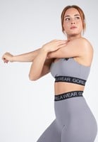 Colby Sports Bra Gray