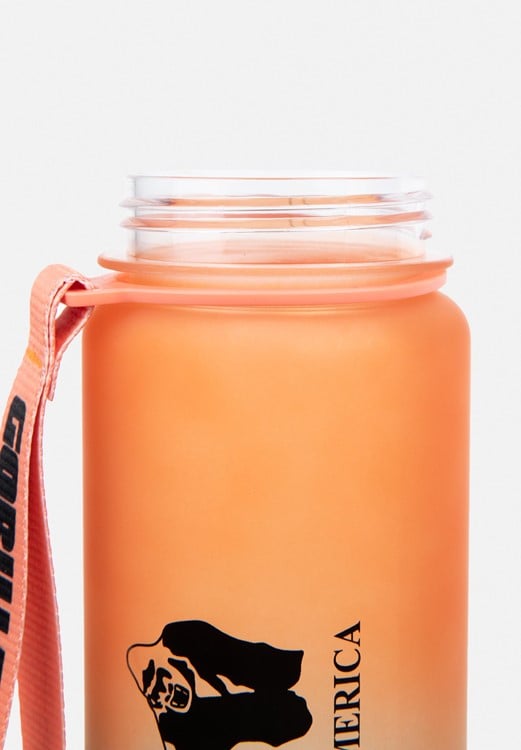 Gradient Water Bottle Green/Orange