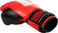 Asthon Pro Boxing Gloves