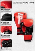 Asthon Pro Boxing Gloves info