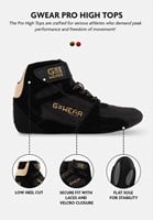 Gwear Pro High Tops infographic