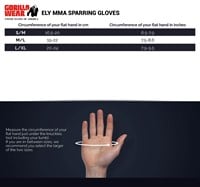 Ely MMA Glove